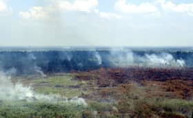 JAS giat kesan suspek kebakaran hutan simpan Kuala Langat