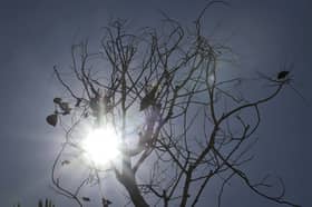 Orang ramai diseru waspada cuaca panas, kurangkan aktiviti luar