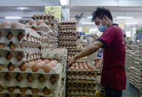 Veterinary Services Dept inspects Jeram egg farm following recall by Singapore