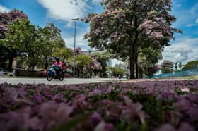 Cuaca panas: Bomba Terengganu pantau hutan berisiko terbakar