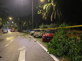 Ribut, hujan lebat sebabkan pokok tumbang sekitar ibu negara