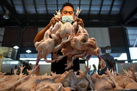 Chicken export ban, new ceiling prices to be decided after data reviewed