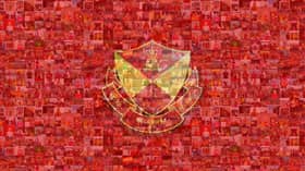 Red Giants eye South American players for new M-League season