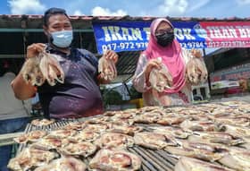 Ikan bekok tambah selera ketika berbuka puasa, sahur