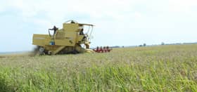 Malaysia’s rice supply stable, enough to meet people’s needs