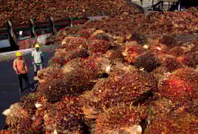 Palm oil industry players concerned over limited supply growth