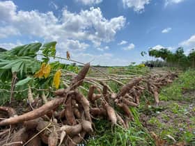 Agro Prihatin Selangor di 10 premis, jual hasil tani lebih murah