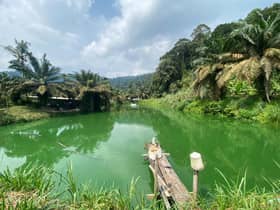 Pemilik kolam ikan diarah henti lepas sisa ke Sungai Tekali