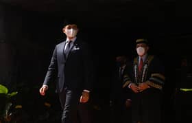 Pemangku Raja Pahang titah institusi raja kuasa semak, imbang terakhir rakyat