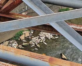 MB: Tindakan tegas kepada pihak jadi punca cemar Sungai Penchala