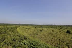 Hutan Simpan Kuala Langat Utara kawasan berisiko tinggi, kerap terbakar
