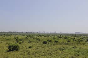 Pakar sah nilai biodiversiti hutan gantian setaraf HSKLU