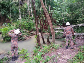 Kerajaan Negeri sedia van, urus jenazah kanak-kanak maut ditimpa pokok