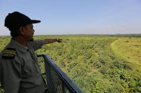 Logging moratorium protects Selangor's forests for quarter-century — Exco