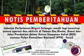 Semua aktiviti dalam hutan simpan kekal masih dilarang