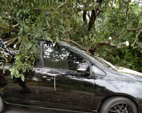 Pokok tumbang hempap kereta, dua beranak selamat