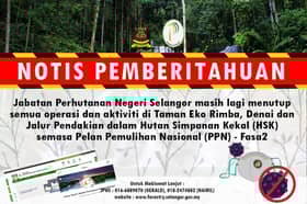 Activities still not allowed in permanent reserve forest