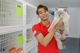 Rezeki sayang kucing, usahawan raih RM70,000 sebulan