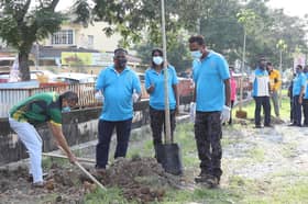 Pulihara alam sekitar, DUN Sentosa tanam 555 pokok sakura