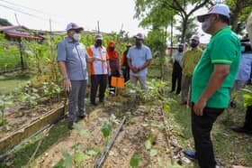 Dana RM250,000 bantu 50 kebun komuniti, galak penduduk usahakan tanaman