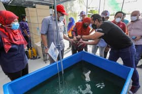 Permintaan udang kara tinggi, bantu lahir ramai usahawan