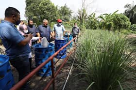 Almost RM50,000 allocated to community gardens in two districts for crops