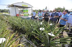 Permohonan pencarian ikon Agro Selangor dibuka hari ini