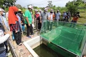 EXCO pertanian lawat Kebun Komuniti Seksyen 8 Prima