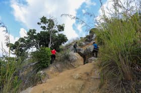 Elak risiko musim tengkujuh, aktiviti dalam hutan dilarang tiga bulan mulai 1 November