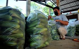 Tiga siswazah jual sayur murah bantu petani, masyarakat