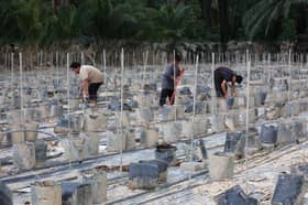 Sektor tani, perikanan rugi lebih RM90 juta akibat banjir