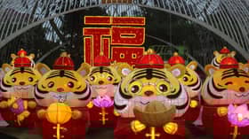 Lanterns to welcome the Tiger