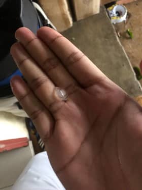 Hailstorm damages 40 houses in Kampung Kebun Bunga