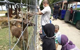 Selangor Fruit Valley raih untung setiap bulan, anjur pelbagai aktiviti tarik pelancong