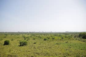 State government to expand forest reserve areas to 33 pct by 2030