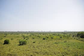 No permanent forest reserves being sold online, says Selangor Forestry Dept