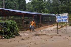 World’s largest Indo-Malaya stingless bee repository submerged by flood in Terengganu