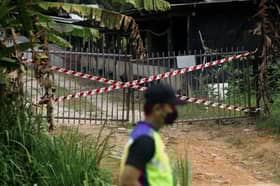 Jabatan veterinar negeri belum kesan penyakit demam babi Afrika