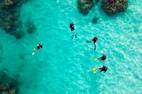 Set up special agency to regulate scuba diving activities — Expert