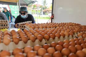 Fama edar lebih 18 juta telur seluruh negara sejak November 2022