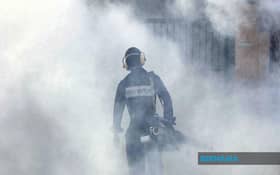 Don't ignore the danger of dengue