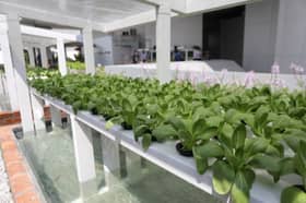 Less than one pct practice organic farming in the country — Minister