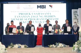 JV to grow grain for animal feed will generate RM10.7 mln in revenue annually