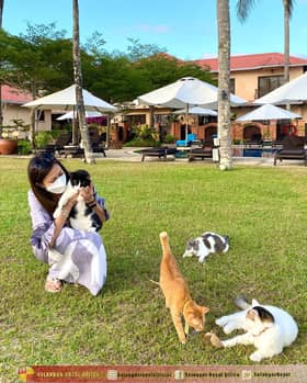 Tengku Permaisuri Selangor zahir sedih, dukacita tindakan zalim terhadap haiwan