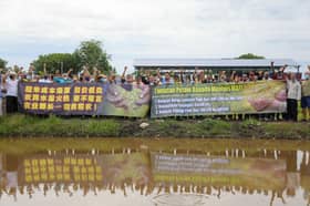 Pesawah gesa naik harga siling padi, tampung kos beli baja dan racun
