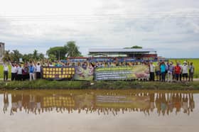 Paddy farmers urge Fed govt to increase ceiling price, cover cost of fertilisers and pesticides
