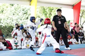 Seni bela diri mampu bantu remaja, kanak-kanak hindari budaya negatif