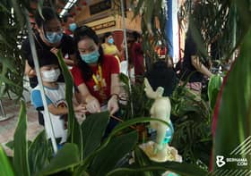 Wesak Day celebrated minus major events, processions