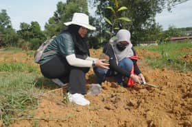 UPM tanam 100 pokok `Gutta Percha', simbolik pokok warisan negara