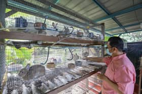 Over 4,000 entrepreneurs benefit from Hijrah Selangor business scheme — MB